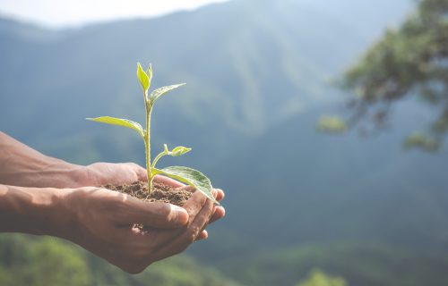 Concept of environmental conservation in the garden for children.